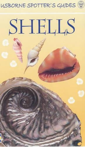 Shells (Usborne Spotters Guide)