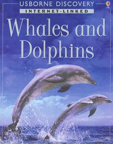 Discovery Program: Dolphins and Whales (Internet-linked discovery)