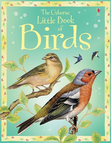 Little Book of Birds (Usborne Little Books)