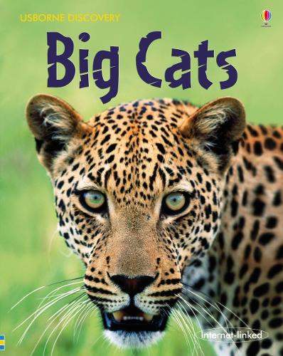 Big Cats (Usborne Discovery)