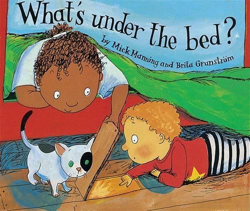Whats Under The Bed?: A book about the Earth beneath us (Wonderwise)