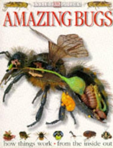 Amazing Bugs
