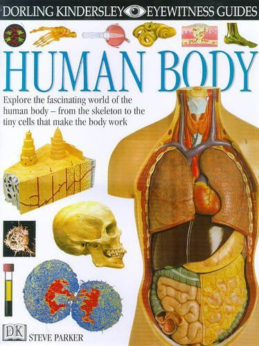 Human Body (Eyewitness Guides)