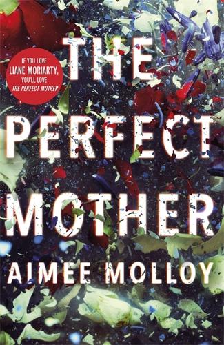 The Perfect Mother: A gripping thriller with a nail-biting twist