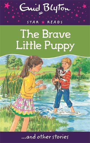 The Brave Little Puppy (Enid Blyton: Star Reads Series 7)