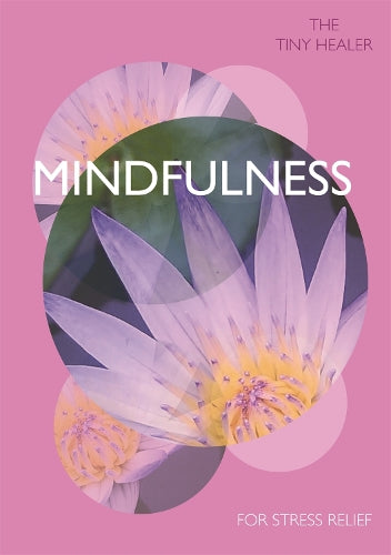 Tiny Healer: Mindfulness (The Tiny Healer)