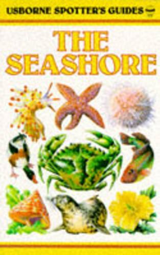 The Seashore (Spotter's Guide)