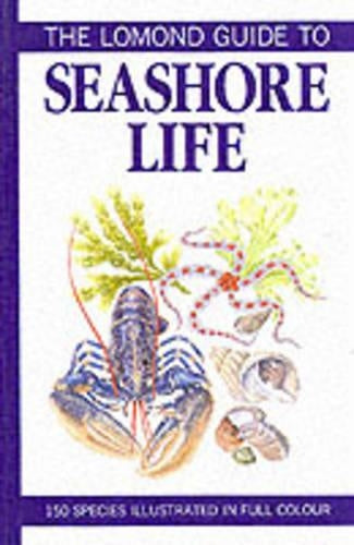 Lomond Guide to Seashore