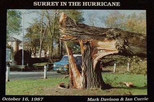 Surrey in the Hurricane: Great Storm of October 16th 1987 1987 (Great Storm of 1987 in Southern England)