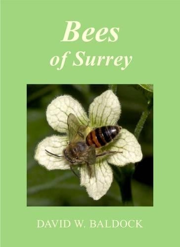 BEES OF SURREY