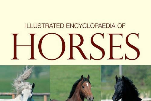 Illustrated Encyclopedia of Horses (Understanding Your Animal)