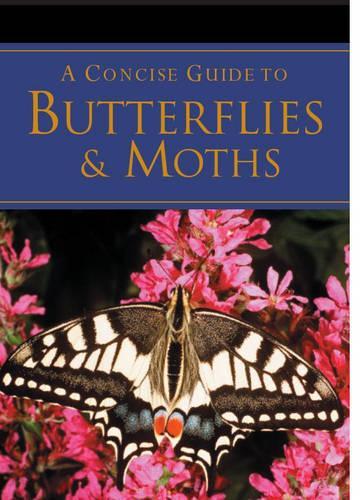 A Concise Guide to Butterflies (Pocket Guides)