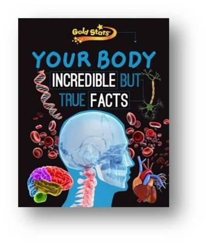 Gold Stars Reference Your Body
