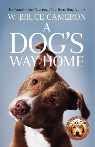 A Dogs Way Home: The Heartwarming Story of the Special Bond Between Man and Dog