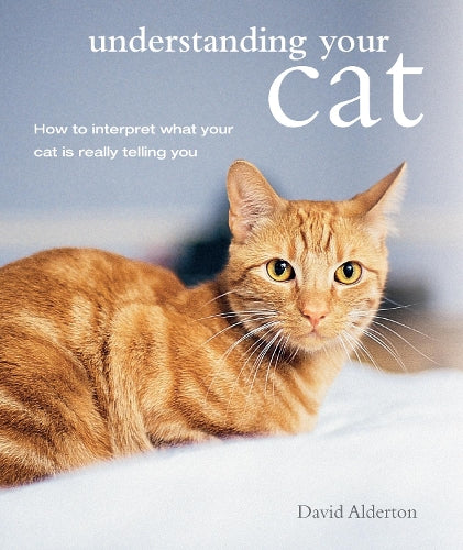 Understanding Your Cat: How to interpret what your cat is really telling you