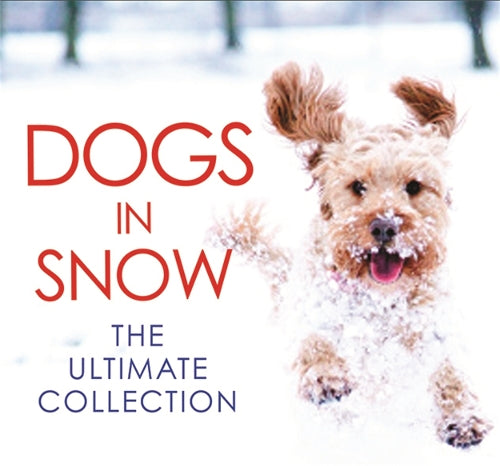 Dogs in Snow: The Ultimate Collection (Photographs)