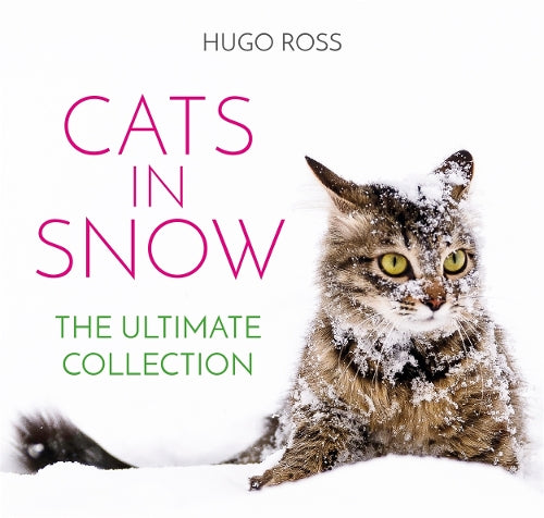 Cats in Snow: The Ultimate Collection
