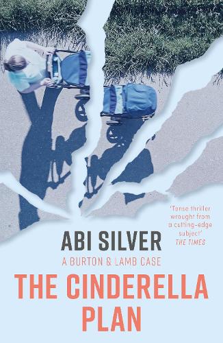 The Cinderella Plan: A legal thriller with a topical AI twist (Burton & Lamb legal thrillers): 3