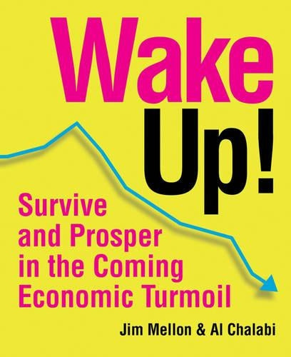 Wake Up!: Survive and Prosper in the Coming Economic Turmoil