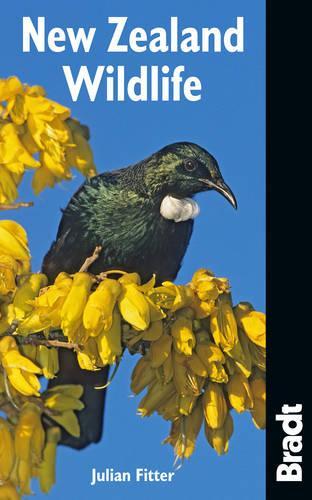 New Zealand Wildlife (Bradt Travel Guide)