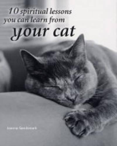 10 Spiritual Lessons You Can Learn from Your Cat
