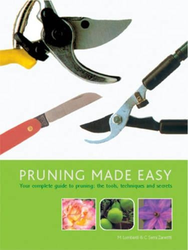 Pruning Made Easy