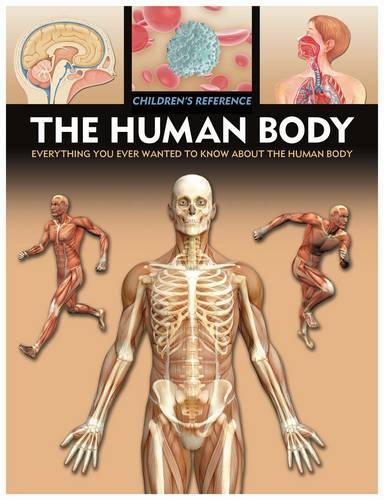 Human Body (Childrens Reference)