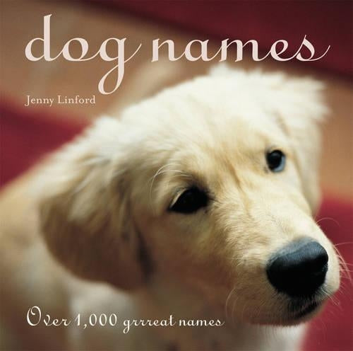 Dog Names: Over 1000 Grrreat Names