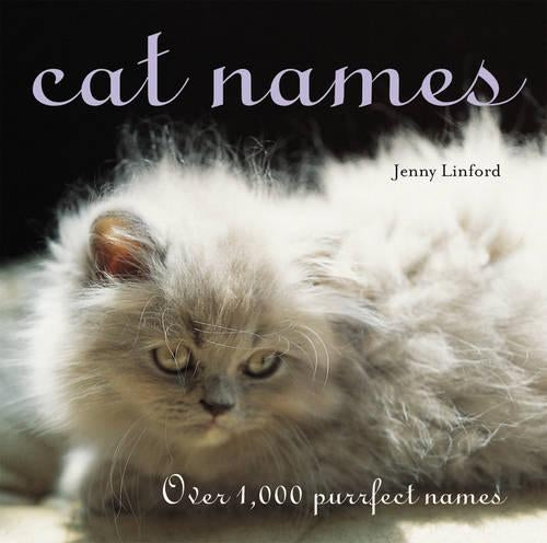 Cat Names: Over 1000 Purrfect Names