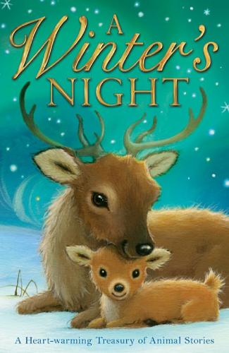 A Winters Night