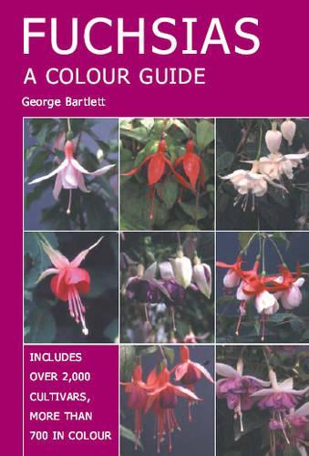 Fuchsias: A Colour Guide