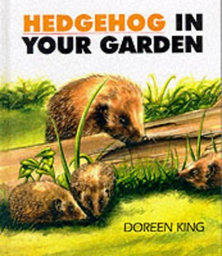 Hedgehog in Your Garden