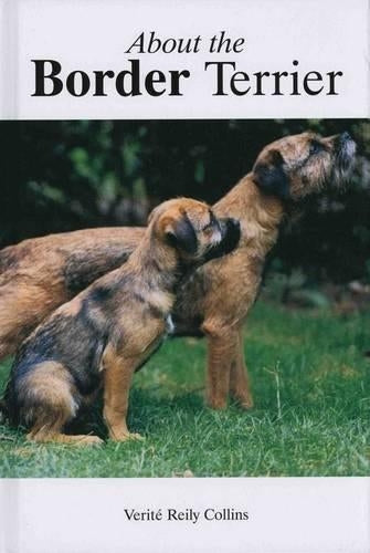 About the Border Terrier