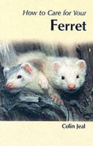 Your First Ferret
