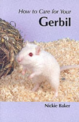 How to Care for Your Gerbil