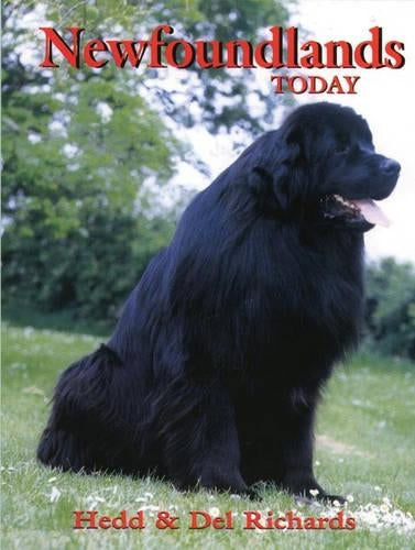 Newfoundlands Today (Book of the Breed S)