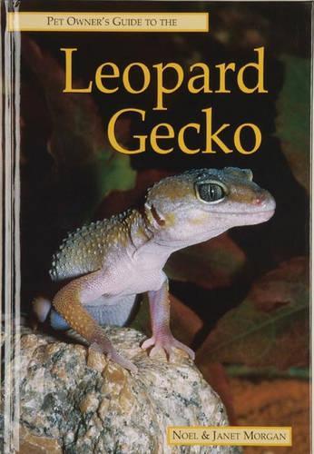 Pet Owners Guide to the Leopard Gecko