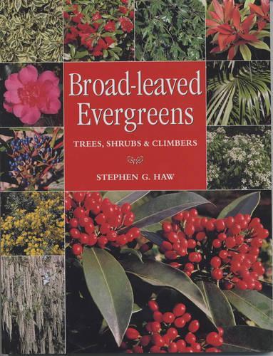 Broad-leaved Evergreens: Trees, Shrubs and Climbers