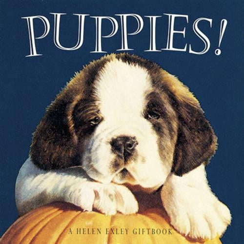 Puppies (Mini Squares)