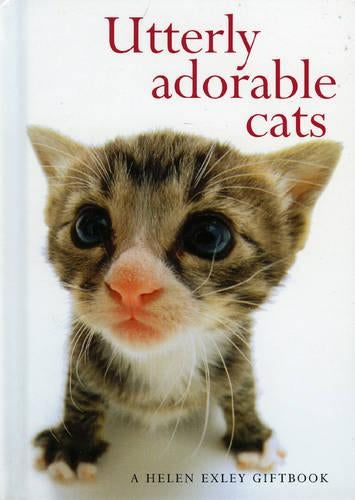 Utterly Adorable Cats (Hanadeka)