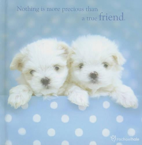 True Friend: 1 (Rachael Hale Giftbooks RG059)