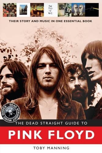 The Dead Straight Guide to Pink Floyd (Dead Straight Guides)