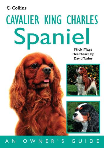 Cavalier King Charles Spaniel: An Owners Guide (Dog Owners Guide)