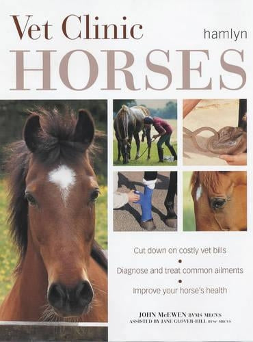 Horses (Vet Clinic)