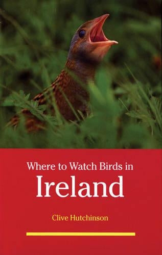 Where to Watch Birds in Ireland