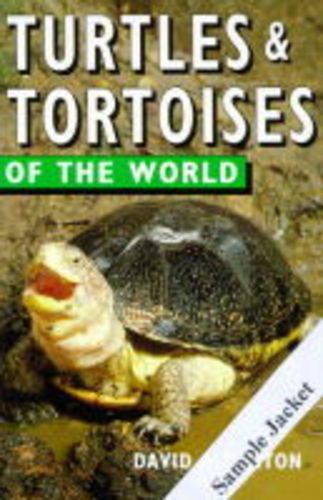 Lizards of the World
