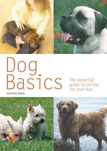 Dog Basics: The Practical Owners Guide (Pyramid Paperback)