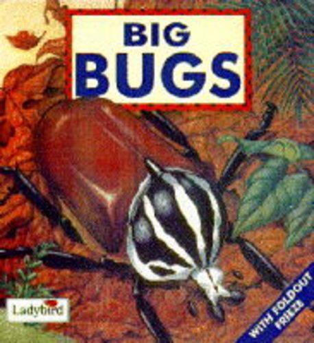 Big Bugs (First Discovery Series)