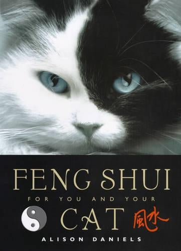 Feng Shui For You And Your Cat