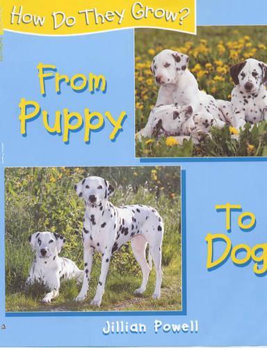 How Do They Grow: Puppy To Dog